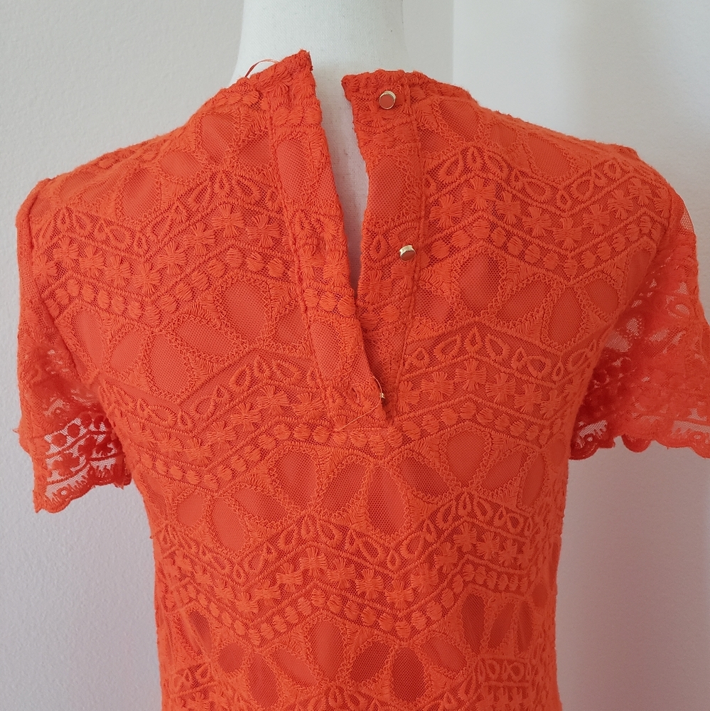 Zara Basic Collection Orange Lace - image 5